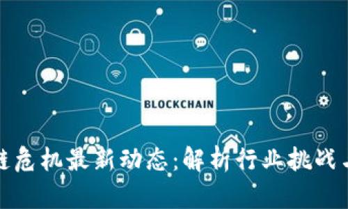区块链危机最新动态：解析行业挑战与机遇
