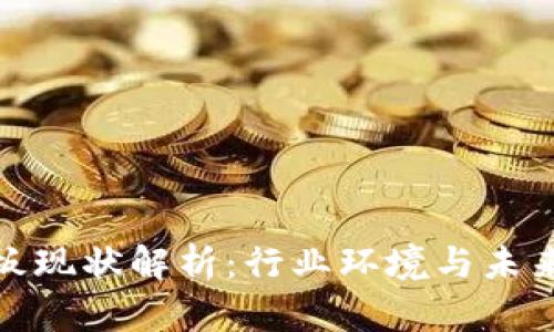 TP钱包老板现状解析：行业环境与未来发展趋势