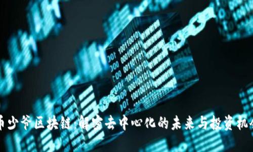 币少爷区块链：解密去中心化的未来与投资机会