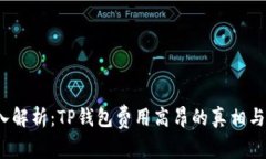  深入解析：TP钱包费用高