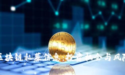 最新区块链私募信息：投资机会与风险分析