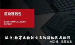 派币：数字区块链交易的