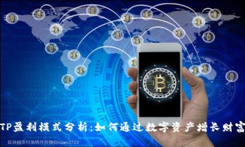 TP盈利模式分析：如何通过数字资产增长财富